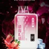 種草安利 SP2S GEM 9000 PUFFS 拋棄式電子煙 一次性霧化桿
