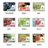 XIAOKE煙彈 梟客五代霧化彈 適用Relx主機四五六代   全新五代霧化技術