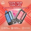 喜貝 Hebat 10000 puffs 拋棄式 一次性電子煙 台灣電子煙推薦