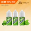 三倍薄荷煙油 TRIPLE MINT 綠箭薄荷 丁鹽鹽油 30ml 台灣 高濃度 重度薄荷涼煙油